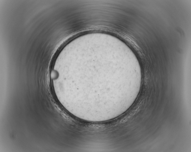 X0000112920888200909211050