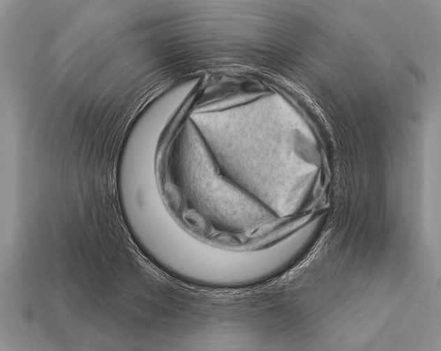 X0000112920889200909211050