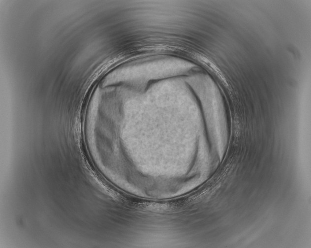 X0000112920890200909211050