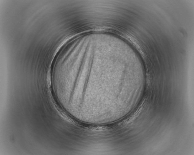 X0000112920891200909211050
