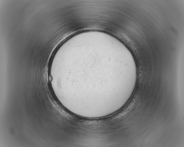 X0000112920892200909211050