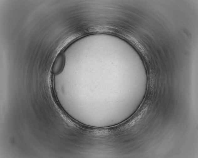 X0000112920893200909211050