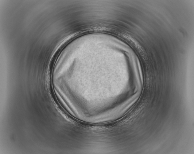 X0000112920894200909211050