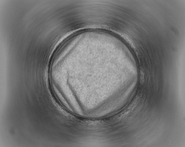 X0000112920895200909211050