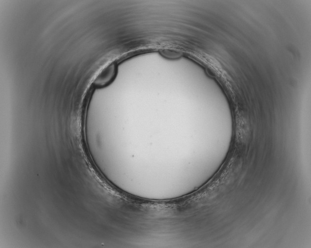X0000112920896200909211050