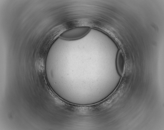 X0000112920897200909211050