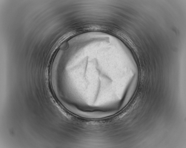 X0000112920898200909211050