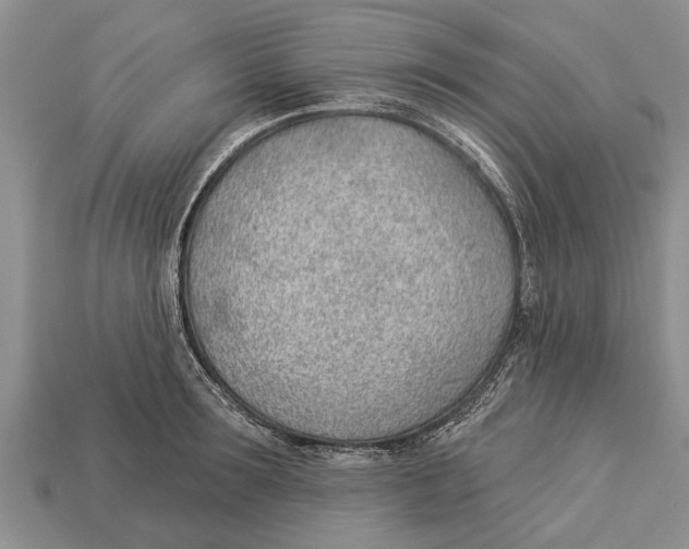 X0000112920899200909211050