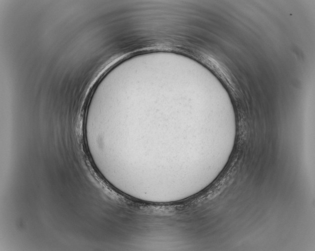 X0000112920900200909211050