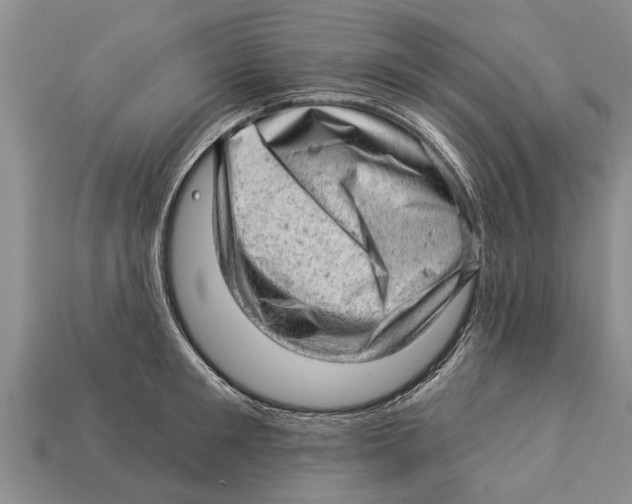 X0000112920901200909211050