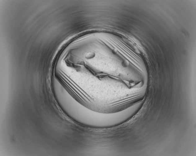 X0000112920904200909211050