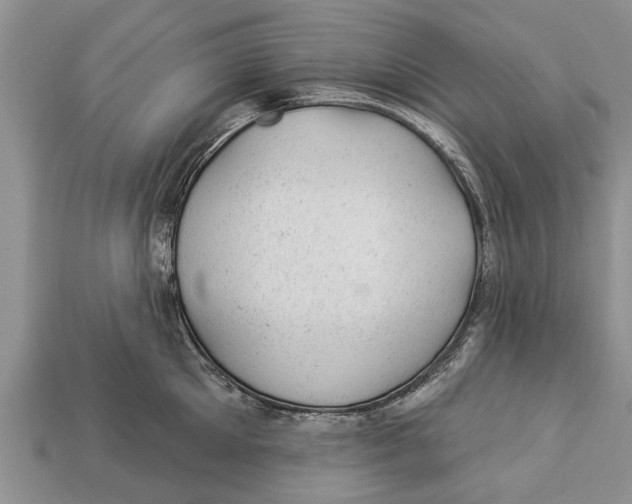 X0000112920905200909211050