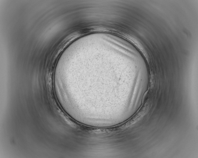 X0000112920906200909211050