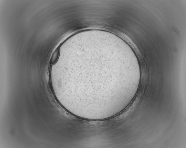 X0000112920908200909211050