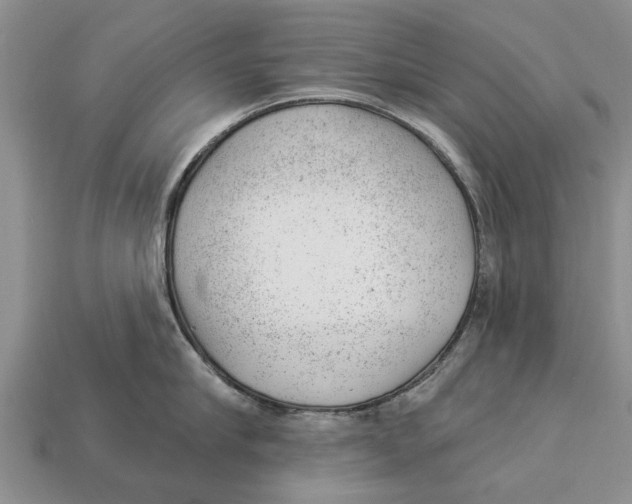 X0000112920910200909211050