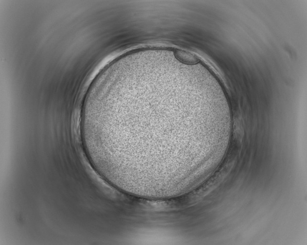 X0000112920911200909211050