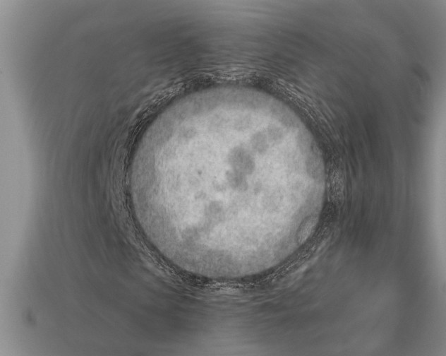 X0000112920913200909211049