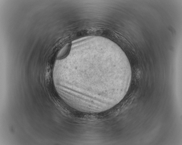 X0000112920914200909211049