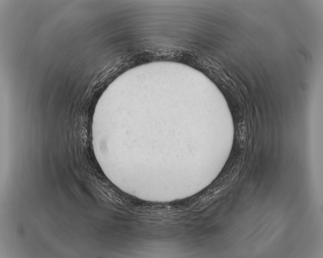 X0000112920916200909211049