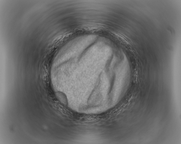X0000112920917200909211049