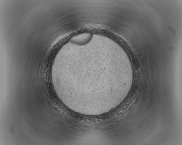 X0000112920919200909211049