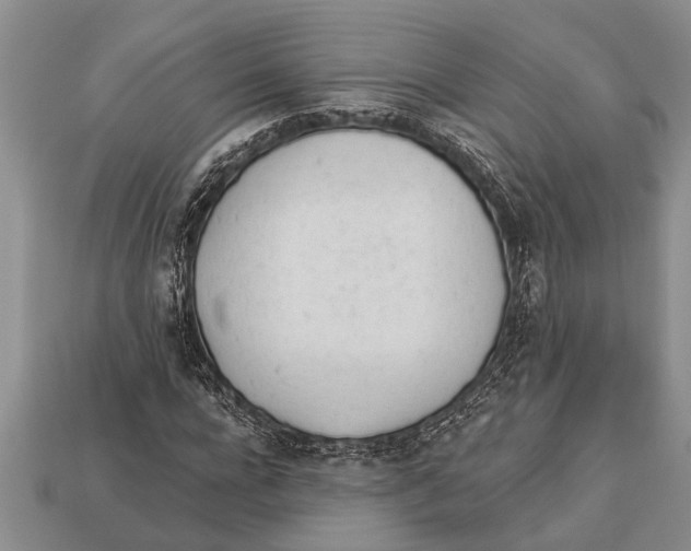 X0000112920920200909211049