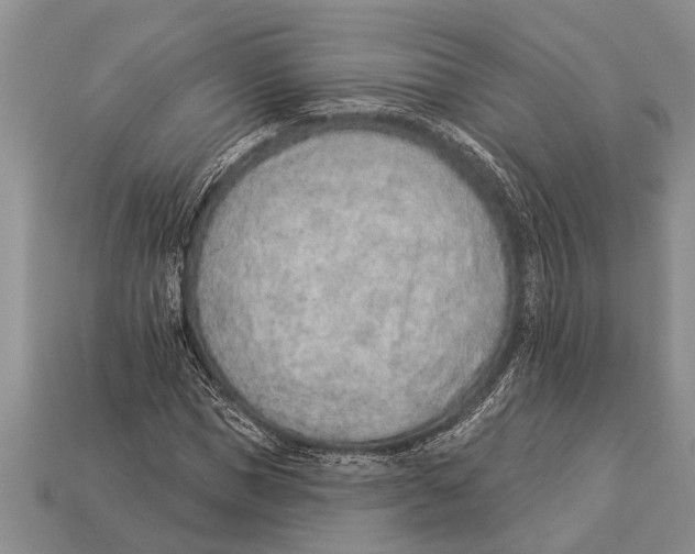 X0000112920921200909211049