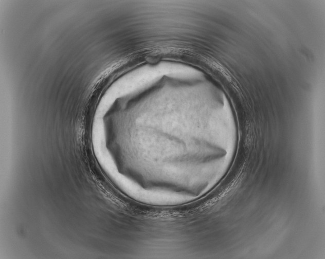 X0000112920922200909211049