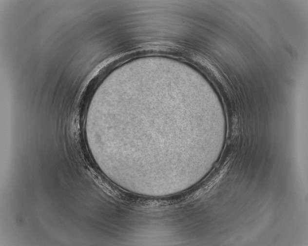X0000112920923200909211049