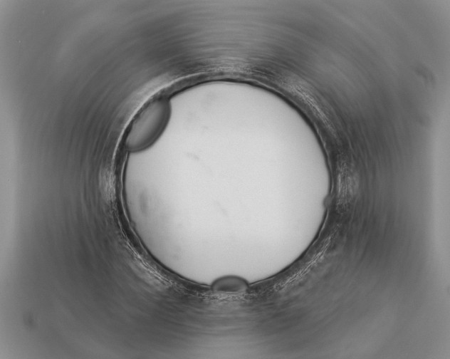 X0000112920924200909211049