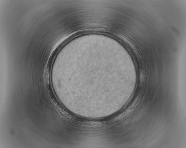 X0000112920925200909211049