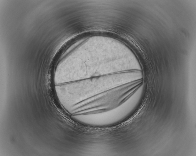 X0000112920926200909211049