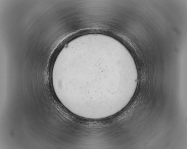X0000112920927200909211049