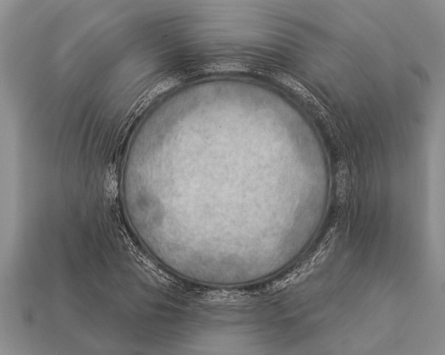 X0000112920929200909211049
