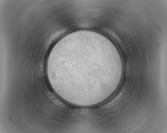 X0000112920930200909211049