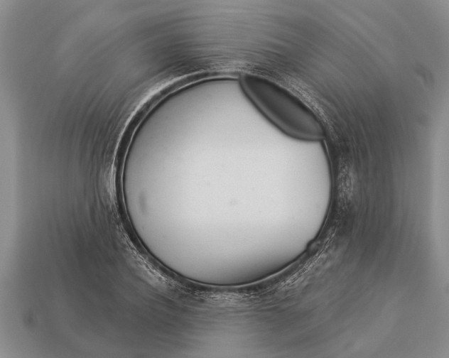 X0000112920932200909211049