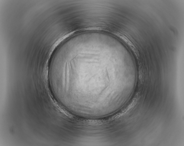X0000112920933200909211049