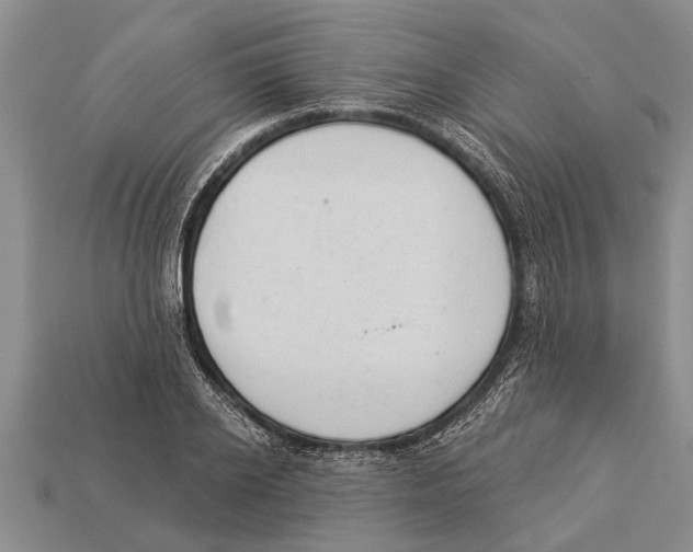 X0000112920934200909211049