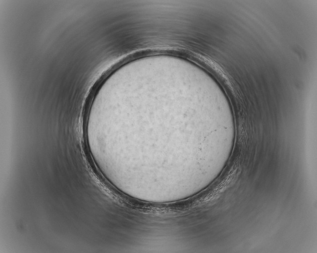 X0000112920935200909211049