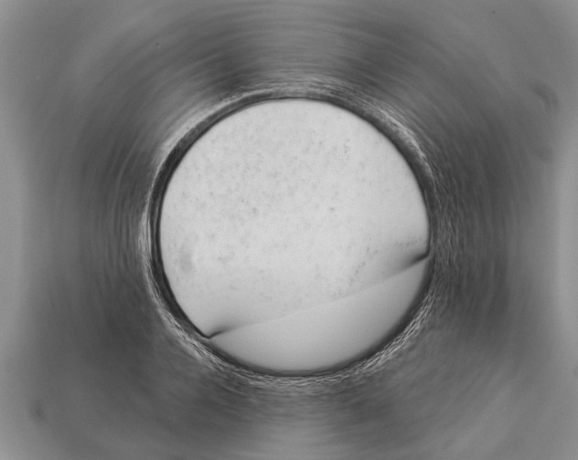 X0000112920936200909211049