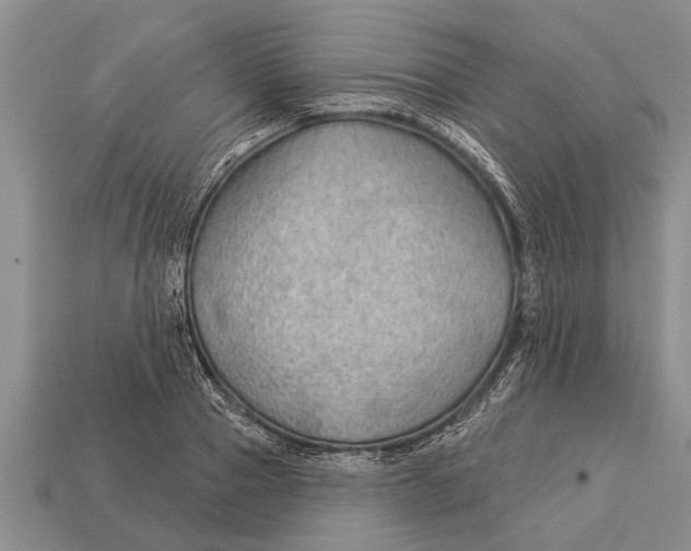 X0000112920937200909211049