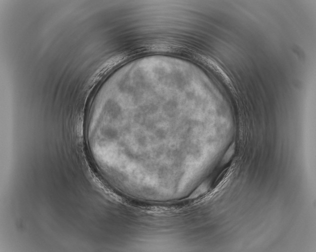 X0000112920938200909211049