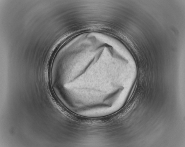 X0000112920939200909211049