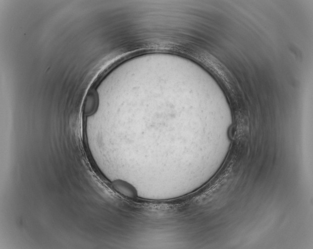 X0000112920940200909211049