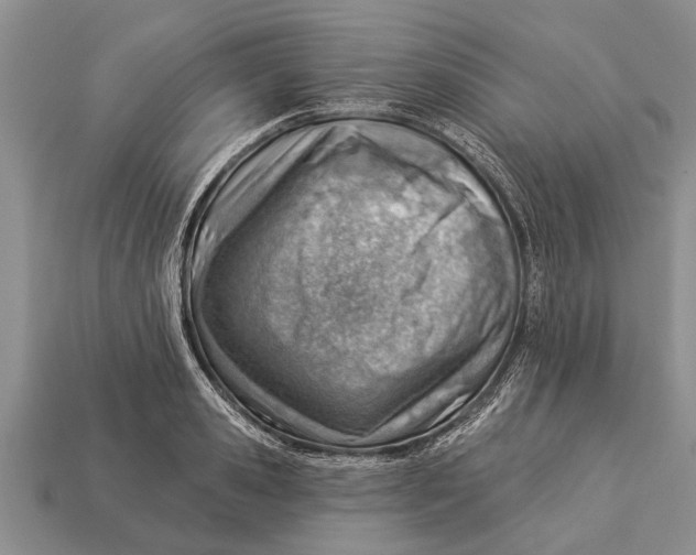 X0000112920941200909211049