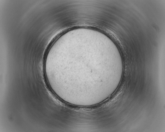 X0000112920942200909211049