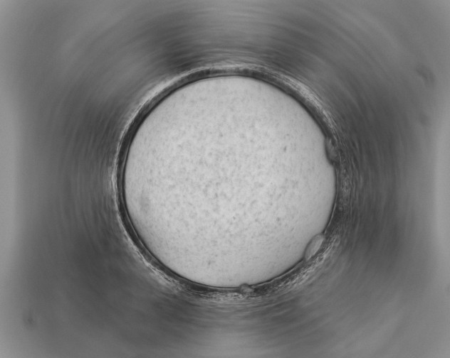 X0000112920943200909211050