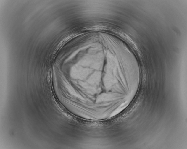 X0000112920945200909211050