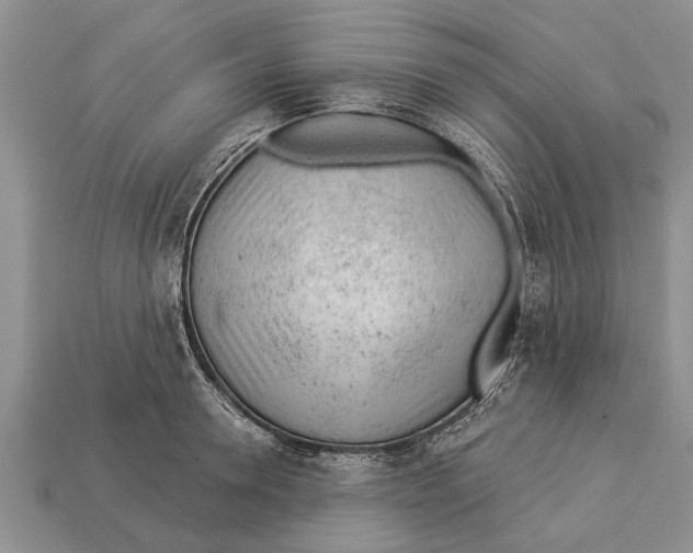 X0000112920946200909211050