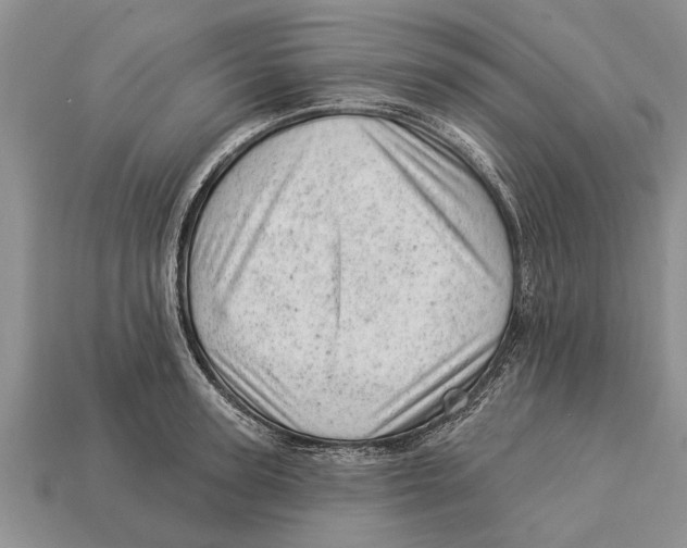 X0000112920947200909211050
